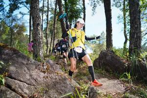 BIB: 
                            <button type="button" onclick="openModal(18947700)" class="btn btn-primary btn-sm float-right btn-popup" data-toggle="modal" data-target=".modal-high-quality">
                        <i class="fas fa-shopping-cart"></i> Add to Cart
                    </button>
                                            <button type="button" onclick="isThisMe(18947700, true)" class="btn btn-success btn-sm float-right btn-popup btn-isme hidden" data-toggle="tooltip" data-placement="bottom" title="นี่คือรูปของคุณใช่ไหม คลิกที่นี่เพื่อเอาเข้าอัลบั้ม">
                        <i class="fas fa-plus"></i> Add to album
                    </button>
                    <button type="button" onclick="isThisMe(18947700, false)" class="btn btn-warning btn-sm float-right btn-popup btn-isnotme hidden">
                        <i class="fas fa-ban"></i> Remove from album
                    </button>